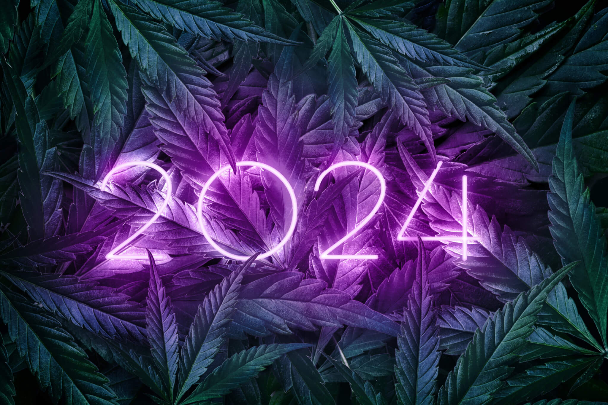 2024 Cannabis Sign Scaled 