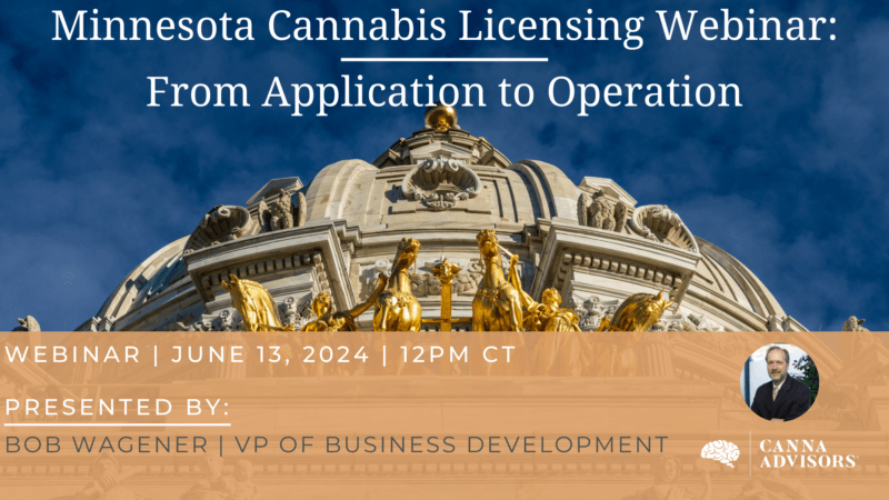 Minnesota cannabis licensing webinar