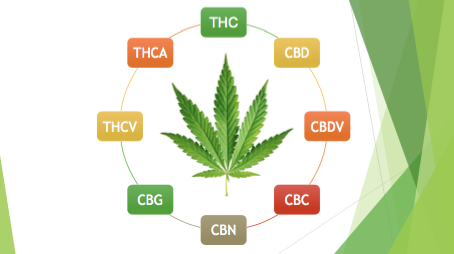 Forms of cannabinoids